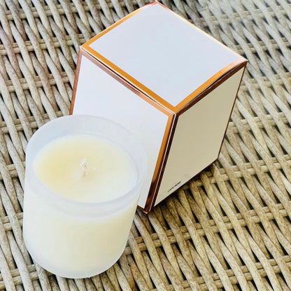 CANDLES ~ LARGE ~ COCONUT LIME