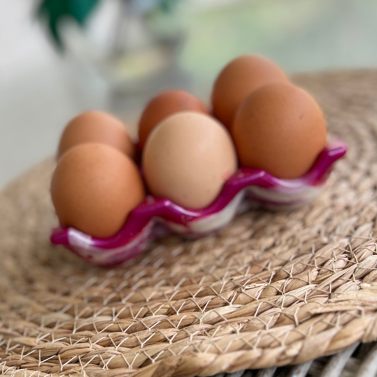 Egg Tray~ Resin